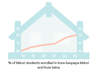 proportion of Māori students