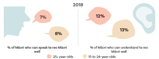 Rangatahi Māori were as likely as older Māori to speak and understand te reo Māori well...