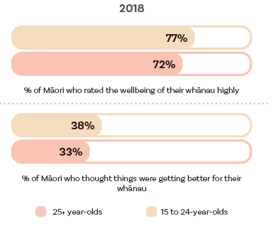 More than three quarters of rangatahi Māori rated their whānau wellbeing highly in 2018 and nearly 40% said that things had got better for whānau over the last year.